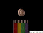 L_V22d5615 A15q728.1.2 T927 dM sh f372